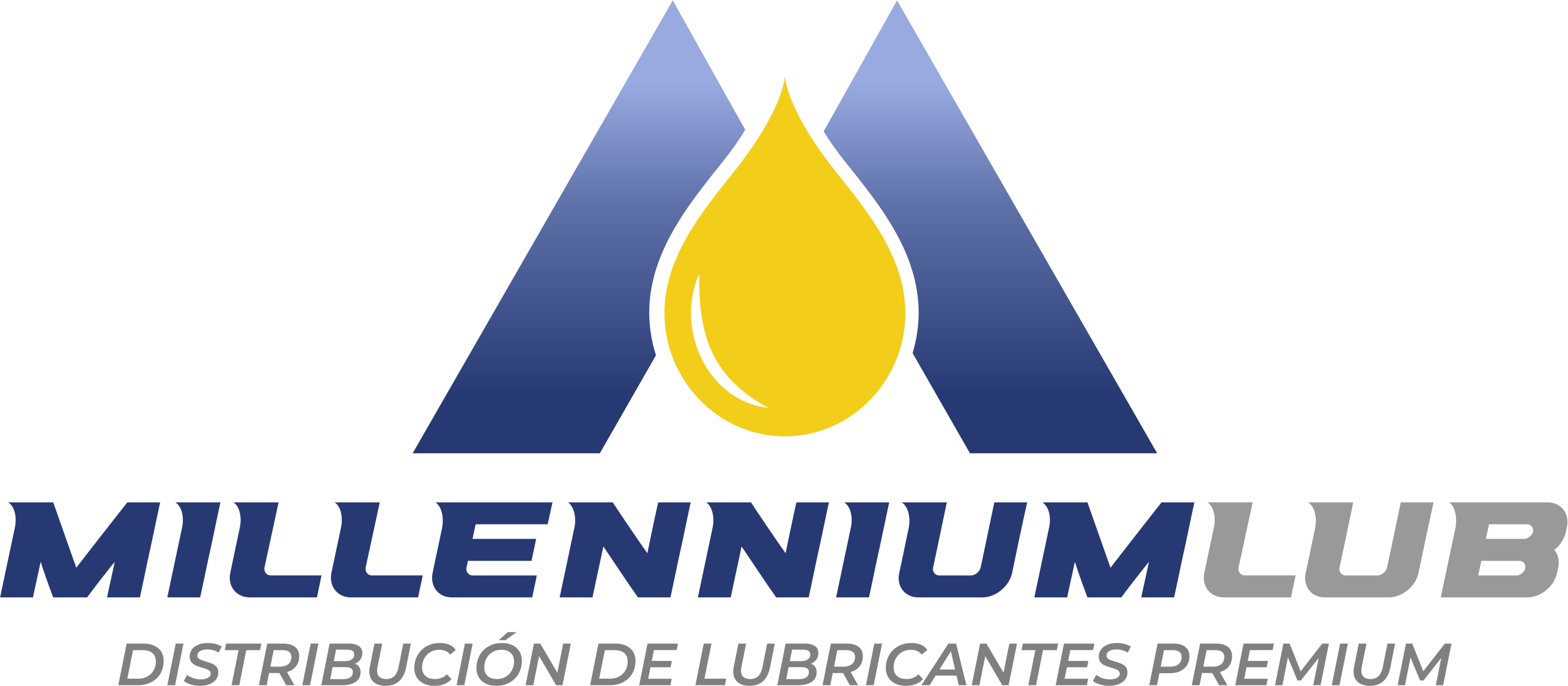 Millennium Lub Caracas